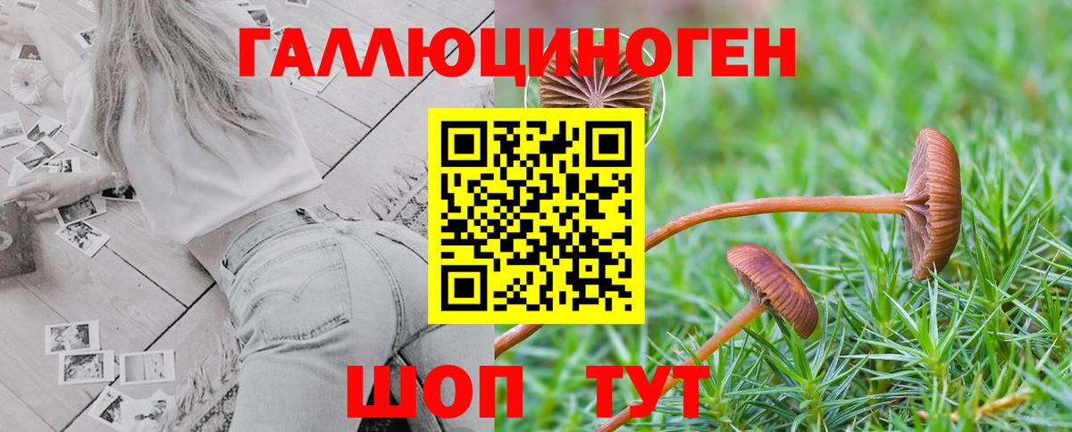 Галлюциногенные грибы GOLDEN TEACHER Добрянка