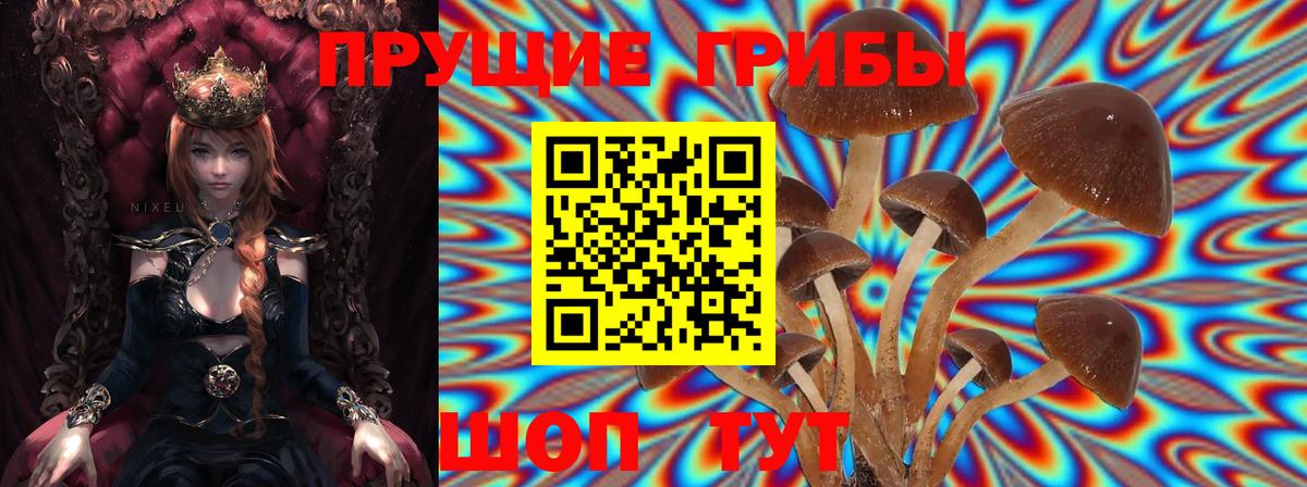 Галлюциногенные грибы Cubensis  Псилоцибиновые грибы Magic Shrooms  Добрянка  Вход с VPN 